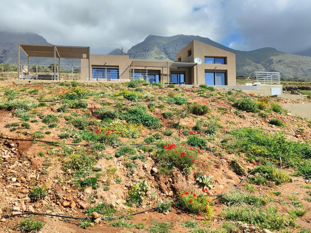 Olive And Aloe Villas Nomikianá Exterior photo